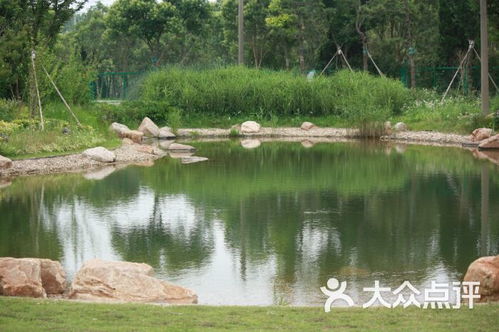 泰生農(nóng)場(chǎng)生態(tài)園住宿 崇明店