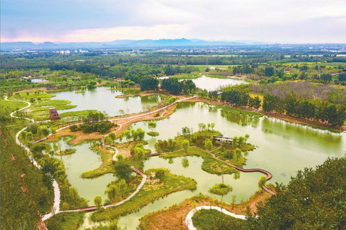 水清樹茂生態(tài)園