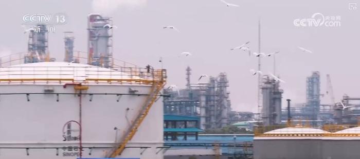 煉化工廠成鳥兒新“家” “綠色工廠”盡顯工業(yè)之美與生態(tài)和諧