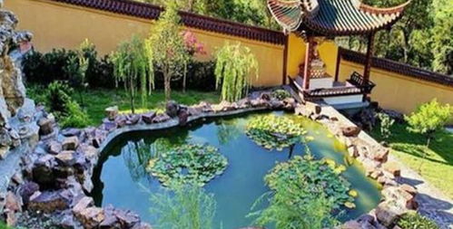 楊氏草莓生態園門票預訂攻略 價格、渠道與游玩指南