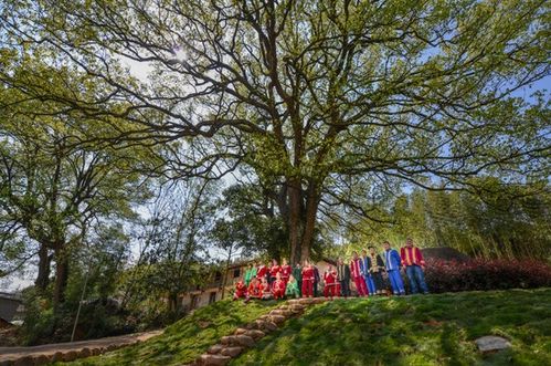 浙江擘畫詩路文化新藍(lán)圖 九市聯(lián)動，生態(tài)為基，打造中華文脈傳承創(chuàng)新帶